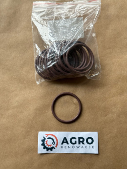 108932a1 O-ring Viton wałek tłumika drgań