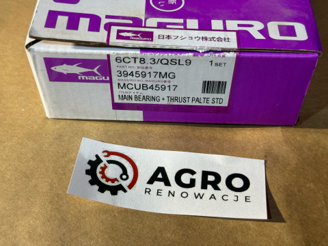 Komplet paneweki główne silnika nominał. Case Magnum 7200 7100 Cummins 8,3 Komplet paneweki główne silnika nominał. Case Magnum 7200 7100 Cummins 8,3